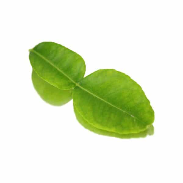 Lime Leaves